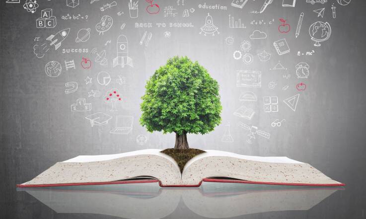 Rola edukacji pozaformalnej w rozwijaniu umiejętności społecznych, kreatywności i samodzielności u uczniów