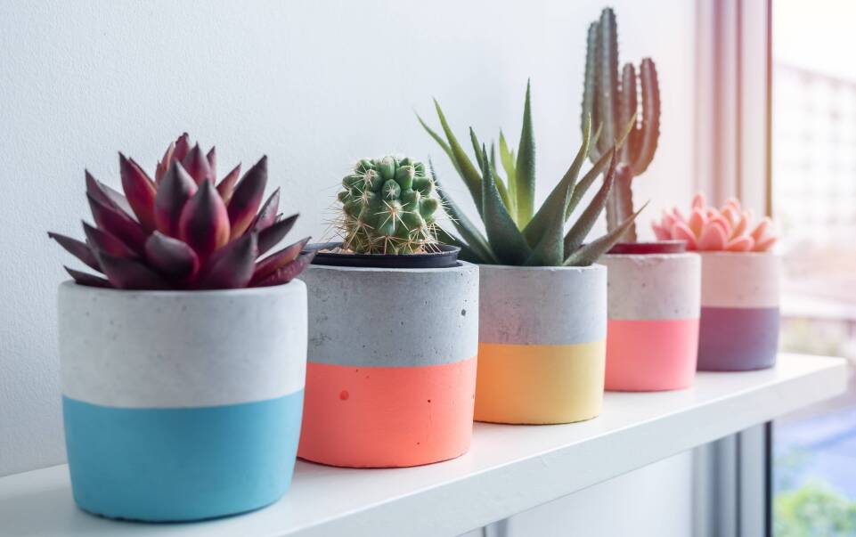 Doniczki jako element ozdobny 