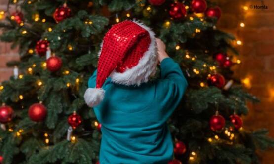 Jak ubrać choinkę na święta Bożego Narodzenia 2024? Sprawdź najmodniejsze trendy!