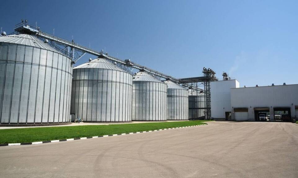 Przyszłość przemysłu zbożowego – trendy i prognozy na najbliższe lata