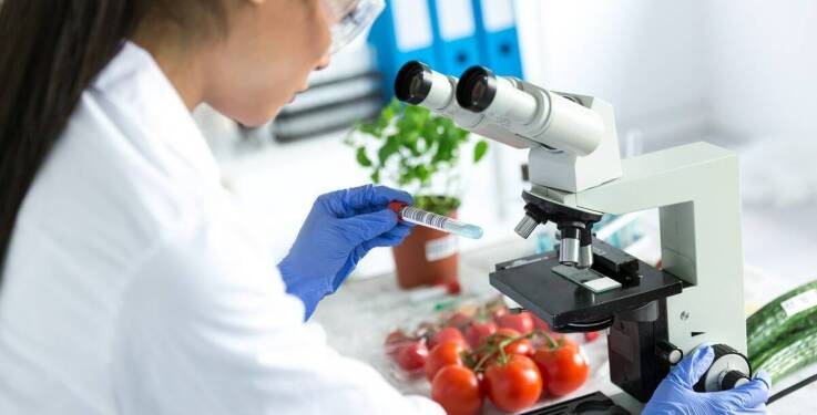Badania laboratoryjne jakości produktów - dlaczego są tak ważne?