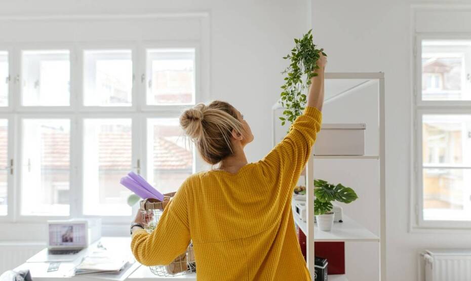 Poradnik ekologicznego malowania: jak wybrać produkty przyjazne dla środowiska?