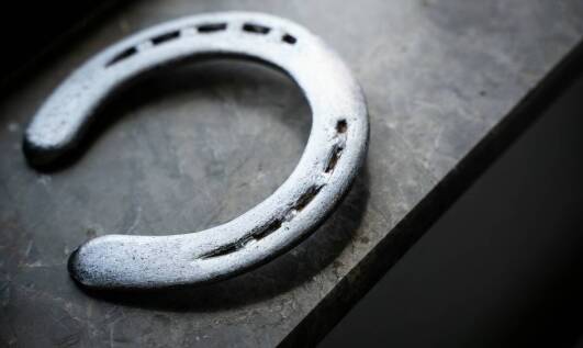 Łazienki końskie: jak dostosować styl do charakteru stajni?