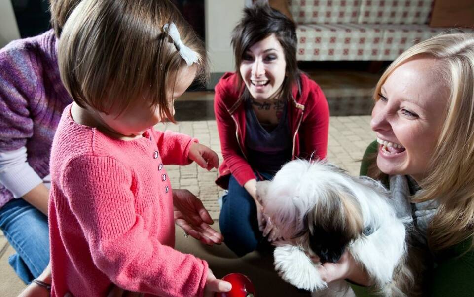 Domy dla psów ze schroniska a adopcje międzynarodowe: czy to możliwe?