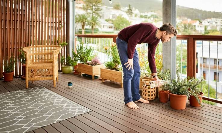 Naturalny nawóz w ogrodzie: Fusy z kawy do jakich roślin?