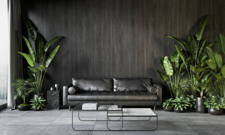 Czarna sofa – jakie dodatki dobrać, by wnętrze nie było zbyt ciemne?