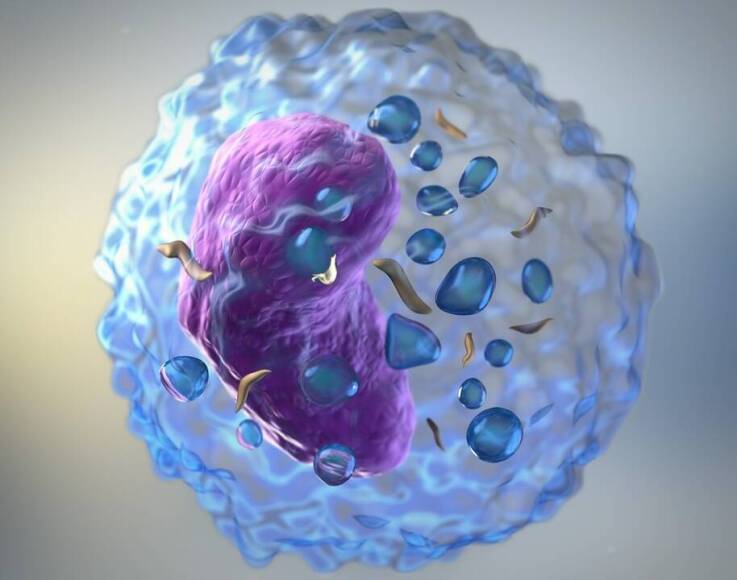 Grasica u dorosłych. Co warto wiedzieć?