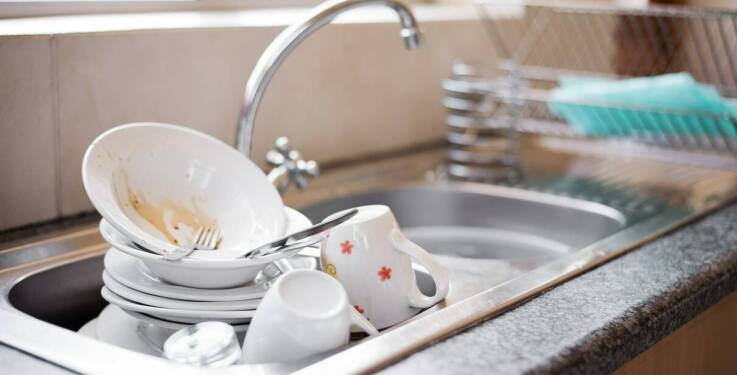 Czarne robaczki w kuchni – jakie mogą być ich konsekwencje zdrowotne?