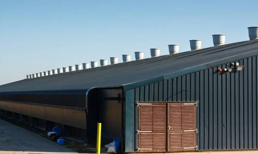 Jakie cechy powinny mieć drzwi inwentarskie do chlewni, aby zapewnić optymalne warunki dla zwierząt?