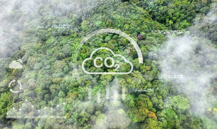 Czy dieta ma wpływ na ślad węglowy? Sprawdź produkty spożywcze o największej produkcji