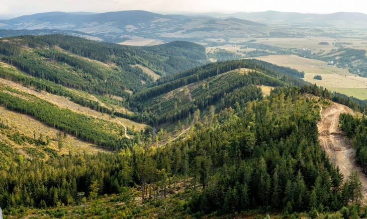 Jakie atrakcje czekają na rodziny z dziećmi w Bieszczadach?