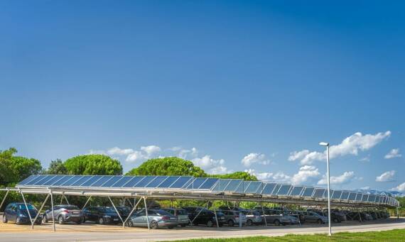 Odporność na warunki atmosferyczne – dlaczego gabiony są trwałe?