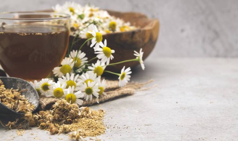 Jakie zioła warto pić i które zioła można mieszać?