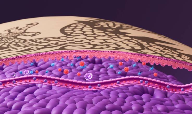 Mapy bólu: Które części ciała są najbardziej wrażliwe podczas tatuowania?