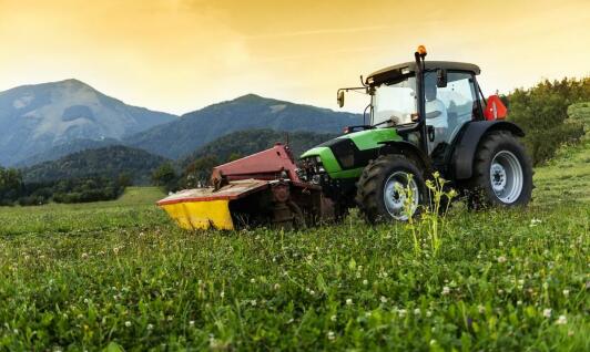 Dlaczego warto wybrać kosiarkę bijakową 135 do komercyjnych usług ogrodniczych?