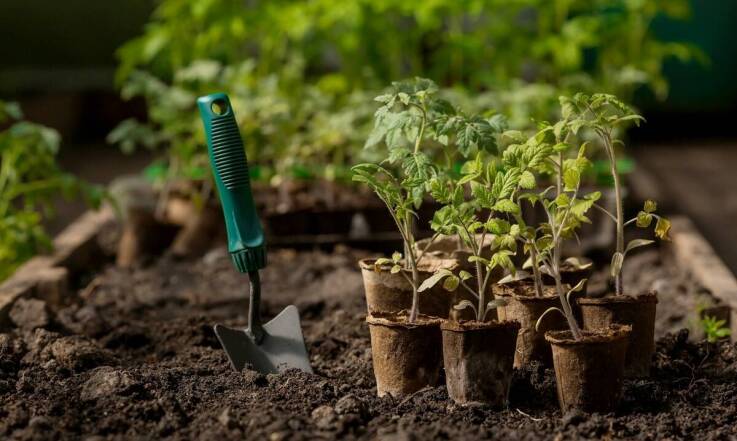 W jaki sposób glebogryzarka ułatwia prace w ogrodzie?