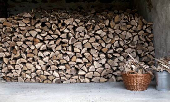 Drewno kominkowe a estetyka palenia – jak wybrać odpowiedni gatunek?