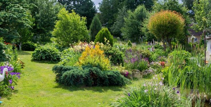 Zastosowanie dużych drzew w projektowaniu terenów zielonych – co warto wiedzieć?