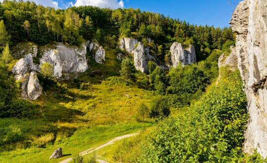 Apartamenty w Krynicy Morskiej z tarasem - przestrzeń do wypoczynku na świeżym powietrzu