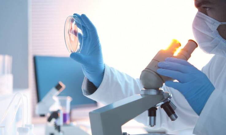 Rola mikrobiologii w diagnostyce alergii – co warto o tym wiedzieć?