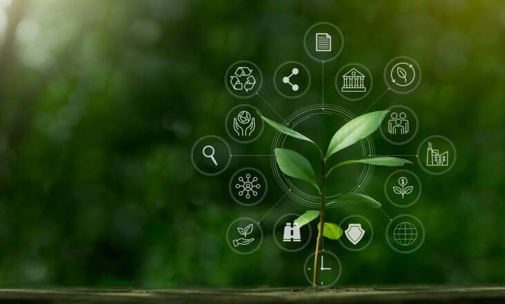 Jak w praktyce wygląda podział gospodarstwa rolnego?