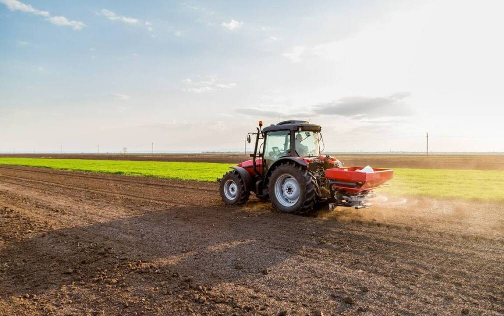 Jakie błędy unikać przy siewie nasion traw w ogrodzie?
