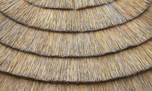 Czy dach z trzciny jest odporny na warunki atmosferyczne?