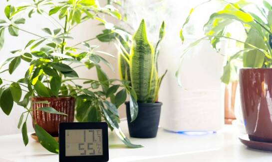 Jak klimatyzacja może pomóc w walce z alergiami i astmą?
