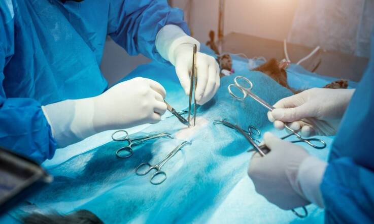 Nitka retrakcyjna – jak poprawić efektywność zabiegów z jej pomocą?
