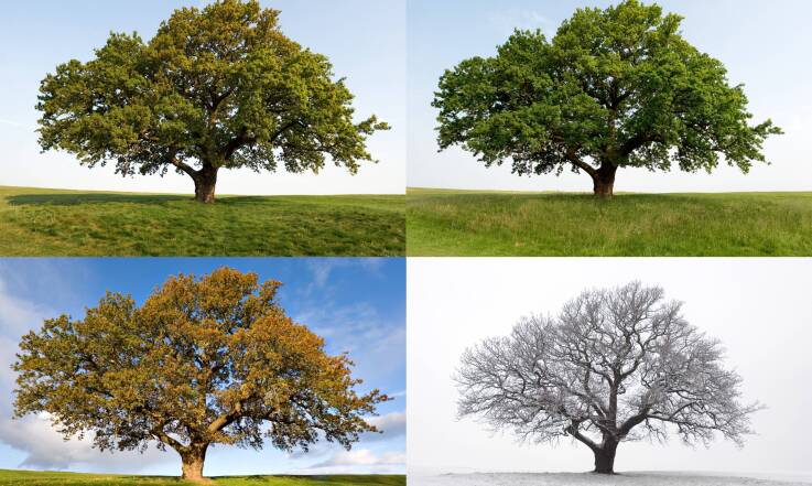 Zarządzanie sezonowością w hotelach i pensjonatach