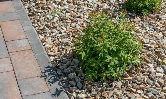 Gabiony jako funkcjonalne elementy ogrodowe – zalety i zastosowania