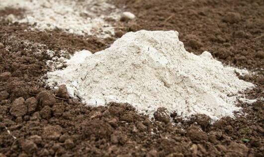 Piasek kwarcowy w ogrodnictwie – jakie ma zastosowania?