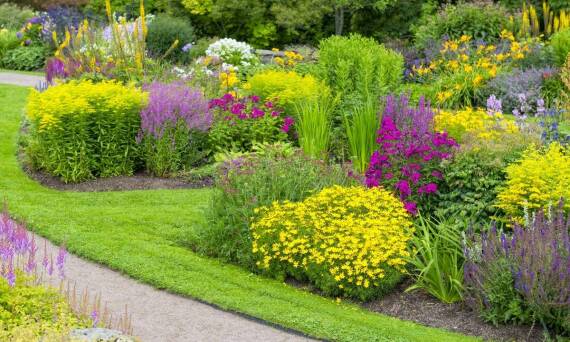 Jakie są zalety korzystania z usług profesjonalnej firmy ogrodniczej?