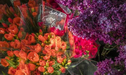 Dlaczego warto wybierać lokalnych dostawców?