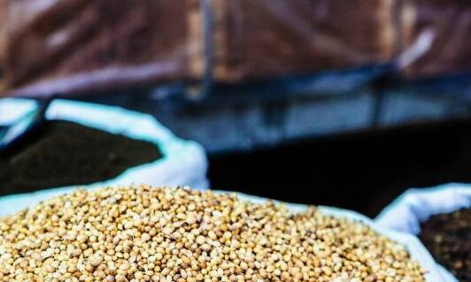 Wyzwania związane z eksportem do Afryki – jak je pokonać?