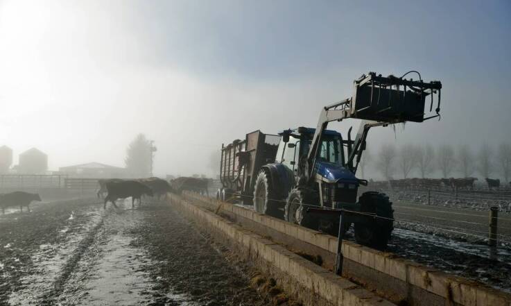 Jakie są trendy w zakresie projektowania rusztów dla bydła na przyszłość?