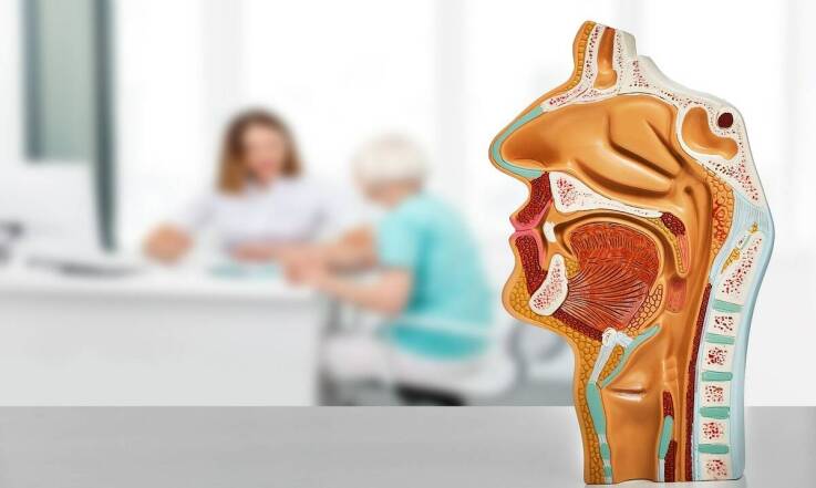Rola laryngologa w diagnostyce alergii – co warto wiedzieć?