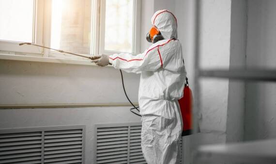 Dlaczego dezynsekcja pluskiew w Jastrzębiu Zdroju jest kluczowa dla zdrowia?