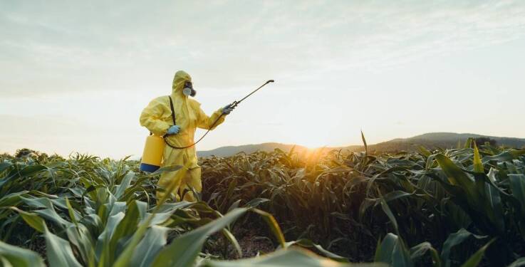 Jakie są korzyści z gazowania zboża dla rolników w Głogowie?