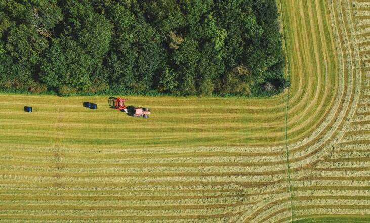 Jakie wyzwania stoją przed komornikami podczas egzekucji z majątku rolniczego?