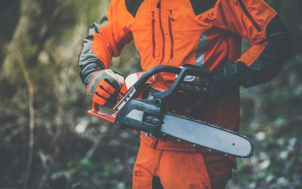 Dlaczego warto korzystać z usług fachowców przy wycince drzew w Krakowie?