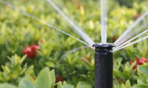 Jak programować kropelkowy system nawadniania w zależności od pogody?