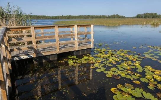 Jakie są zalety budowy pomostów dla żeglarzy w Kołobrzegu?