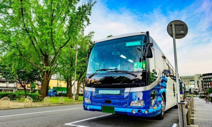 Organizacja transportu na zawody sportowe - nasze doświadczenie w branży