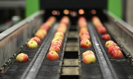 Jakie są najlepsze praktyki załadunku skrzyniopalet na jabłka?