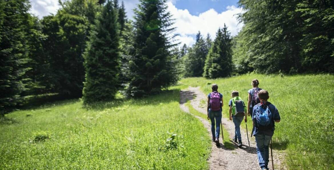 Wicie wakacje - jak zorganizować aktywny wypoczynek w okolicy?