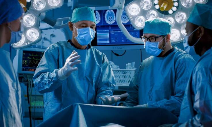 Jakie znaczenie ma profilaktyka zdrowotna w życiu zwierząt?