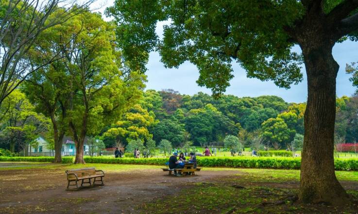 Mieszkania na sprzedaż Warszawa Ursynów – co warto wiedzieć o lokalnych atrakcjach?