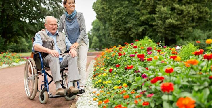 Wpływ ogrodu na samopoczucie seniorów w Dom seniora Ruda Śląska