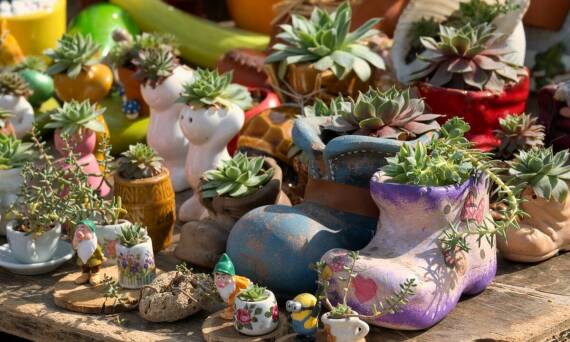 Jakie akcesoria ogrodowe są niezbędne do zakupu przed sezonem?